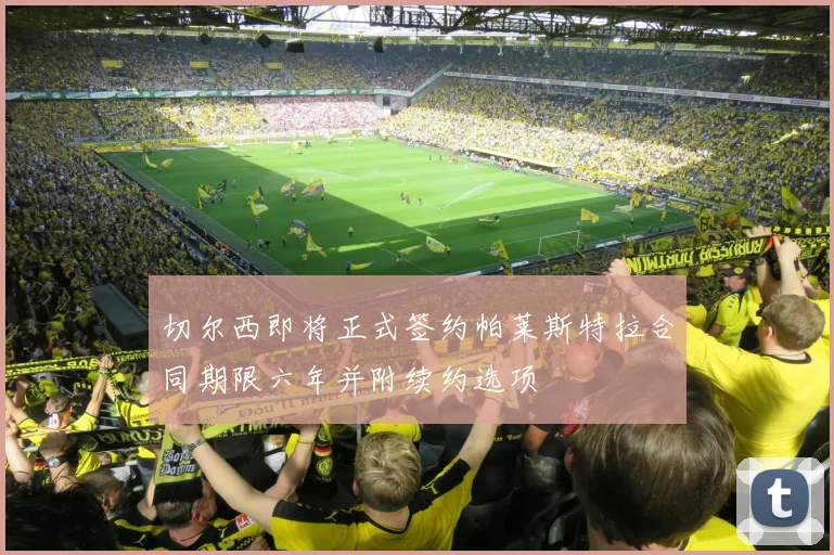 切尔西即将正式签约帕莱斯特拉合同期限六年并附续约选项